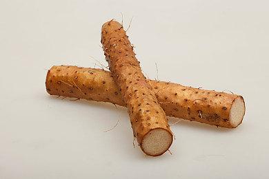 《星刃》全新宣传片 女开发者玩这款游戏非常嗨